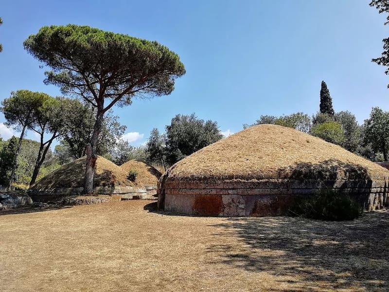 il tumulo grande con il suo tamburo di tufo e un pino domestico accanto, in una giornata di luglio con l'erba tutta secca