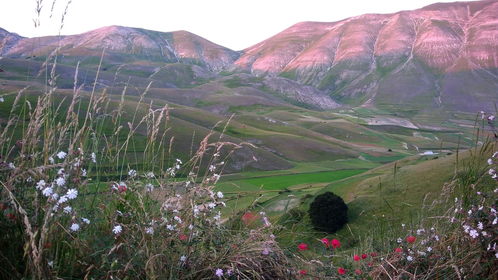 der Monte Vettore im Abendlicht, über den Wiesen von Castelluccio