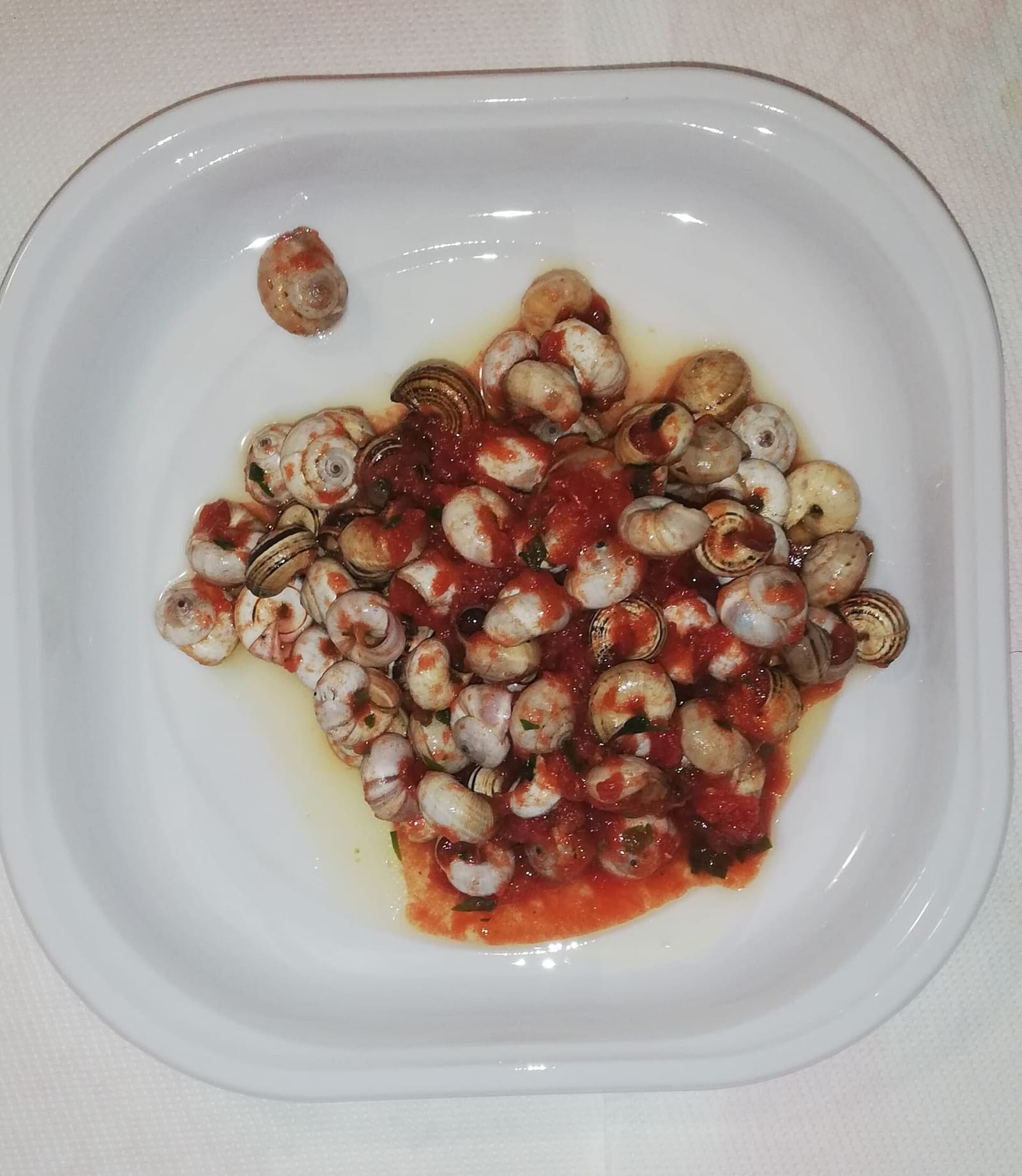 i babbaluci, le lumache al sugo che a Palermo si mangiano per il Festino