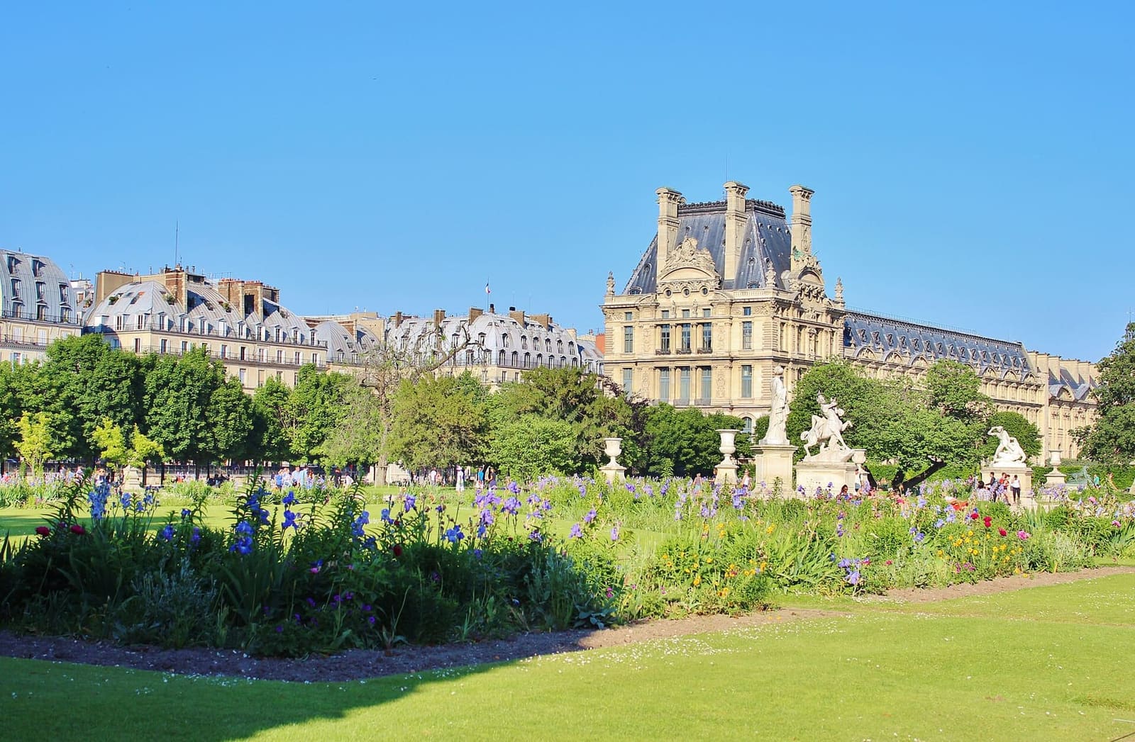 der Louvre-Palast von den blühenden Beeten des Jardin des Tuileries aus gesehen