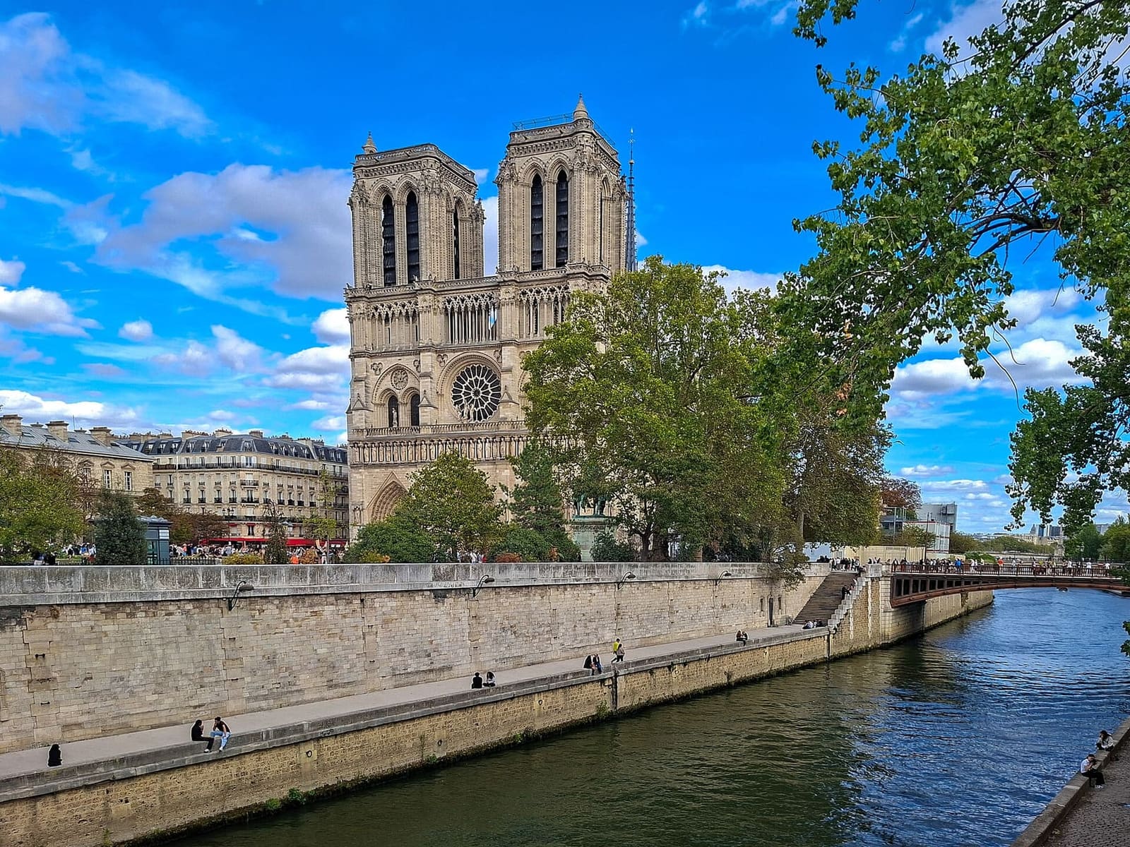 die Türme von Notre-Dame über den Bäumen am Quai, von der Seine aus gesehen