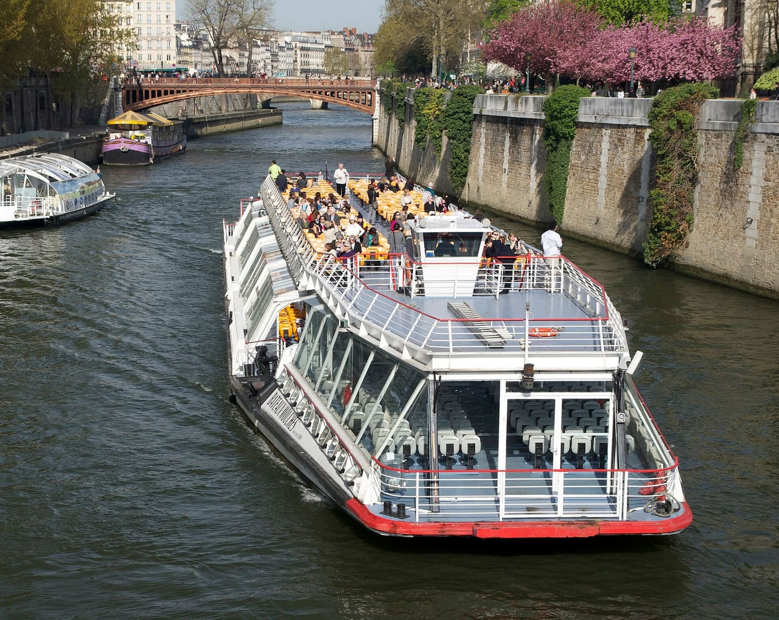 ein Bateau-Mouche auf der Seine bei Notre-Dame, mit einem blühenden Baum am Quai