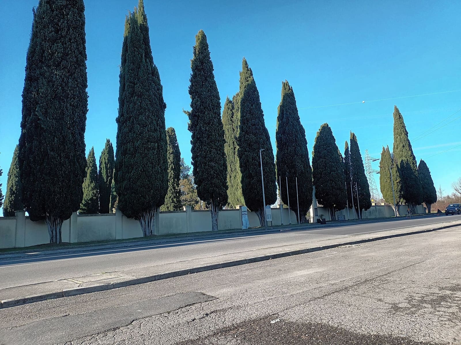 i cipressi del cimitero austro-ungarico di Fogliano lungo la strada