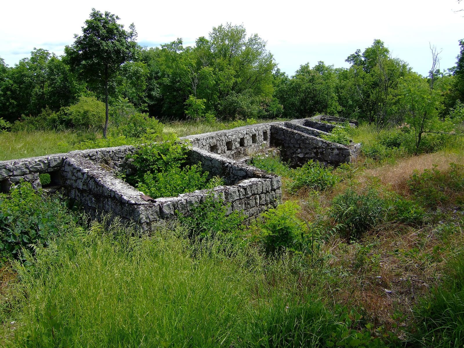 i muri a secco della Trincea delle Frasche, vicino a San Martino del Carso
