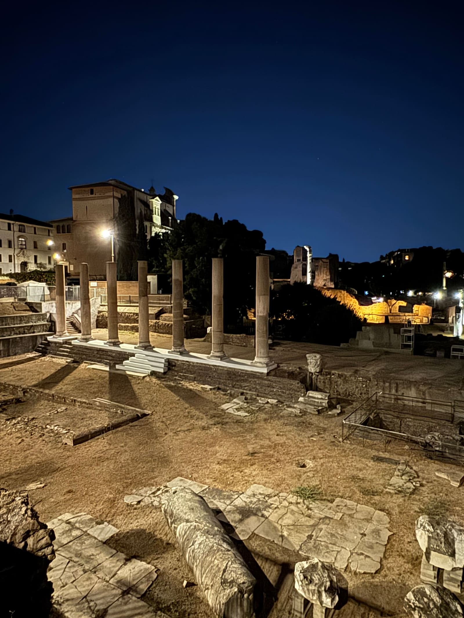 gli scavi del Foro Romano dal parapetto della strada, con il cielo ancora blu: un colonnato di granito rimesso in piedi su una gradinata nuova, e in fondo a sinistra la chiesa incastrata nel Tempio di Antonino e Faustina