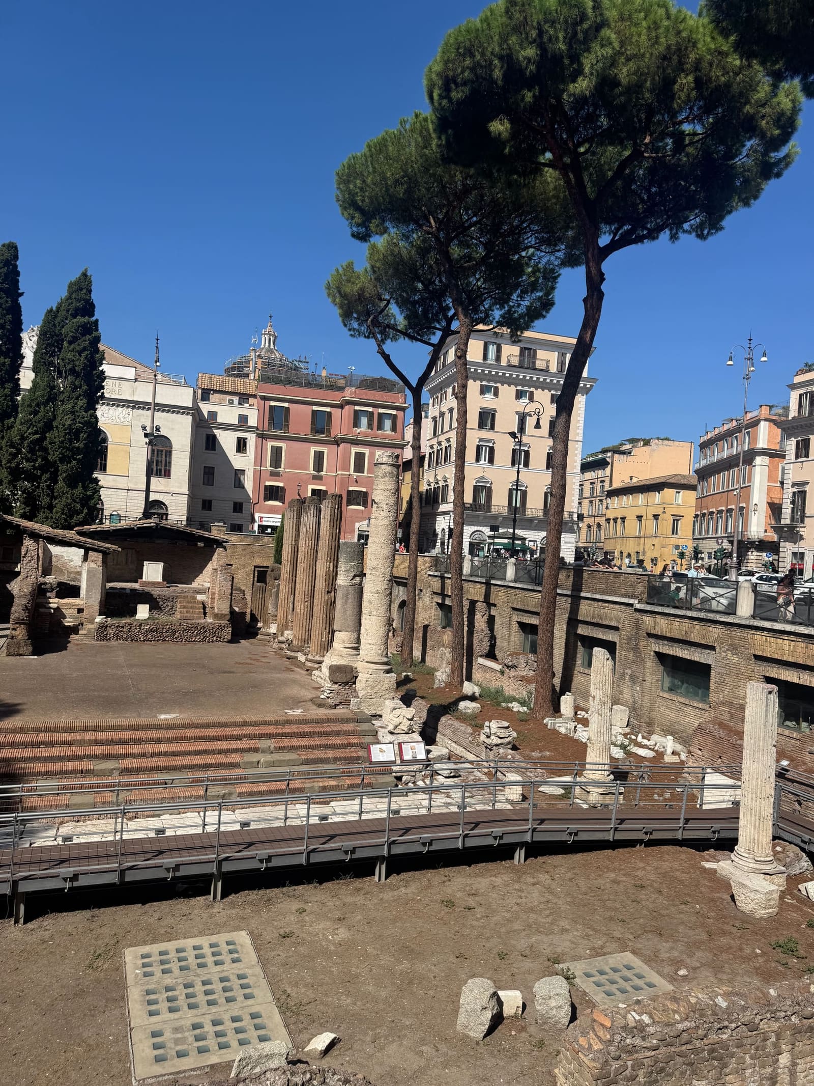 i quattro templi repubblicani nella buca, con il pino domestico che li scavalca e il traffico che gira intorno senza guardarli