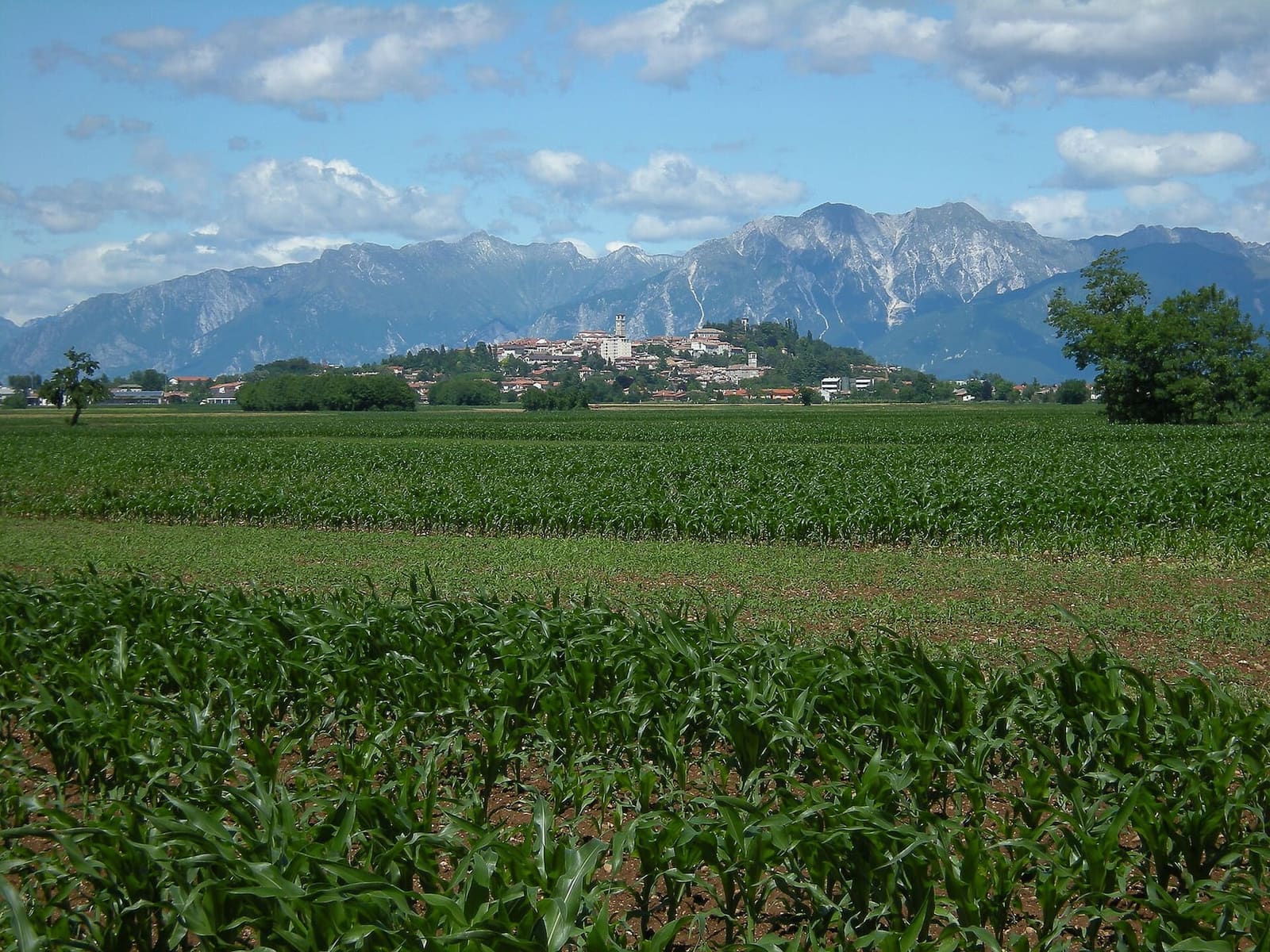San Daniele del Friuli sulla sua collina, vista dai campi di Villanova con le montagne alle spalle