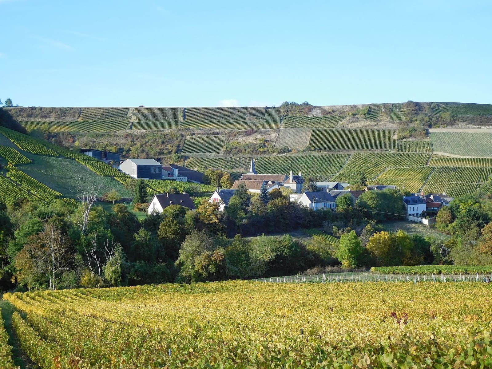 il villaggio di Chavignol nella conca, sotto le coste ripide coperte di vigne, a ottobre