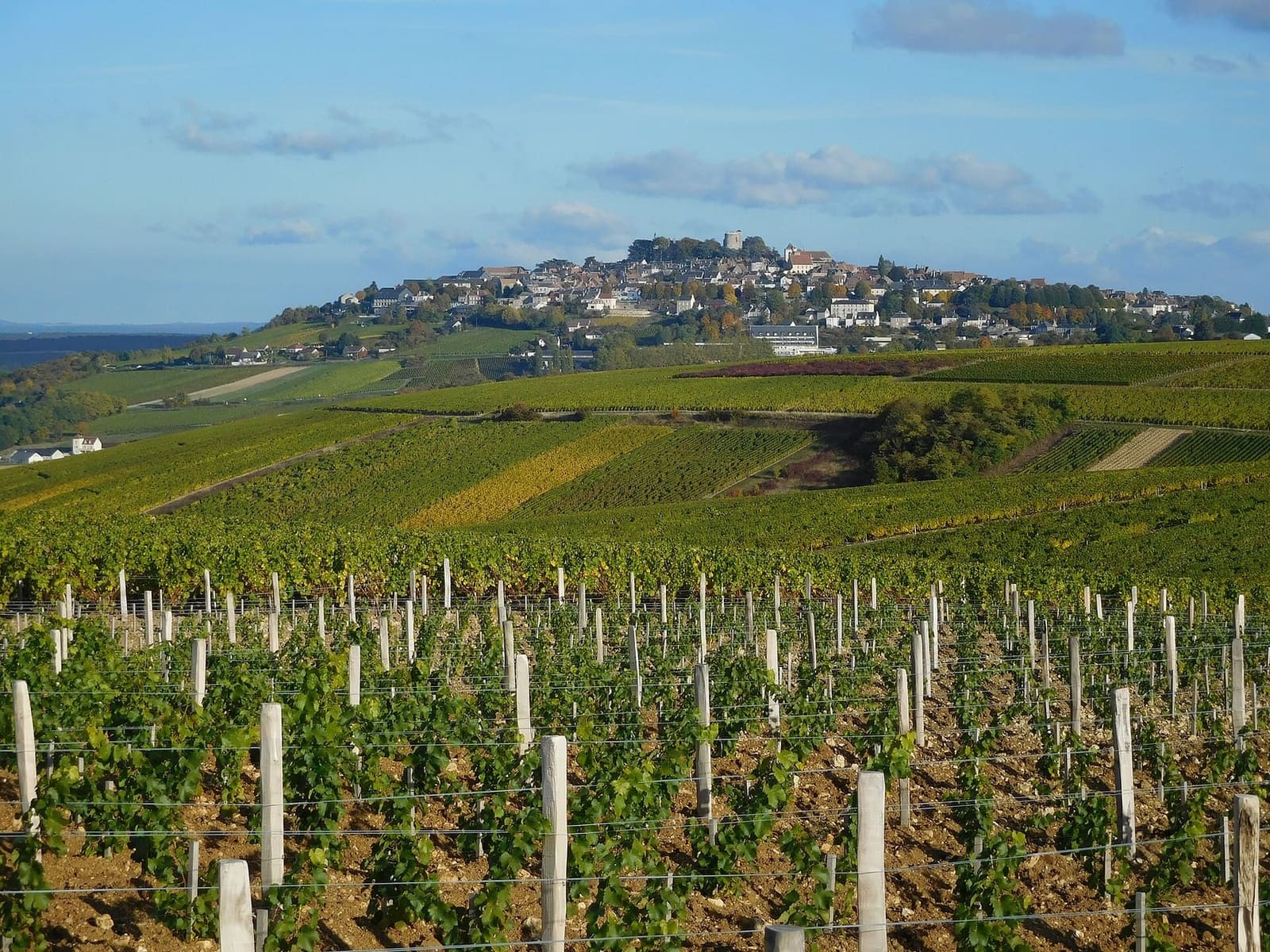 il piton di Sancerre visto dalle vigne di Chavignol, a ottobre