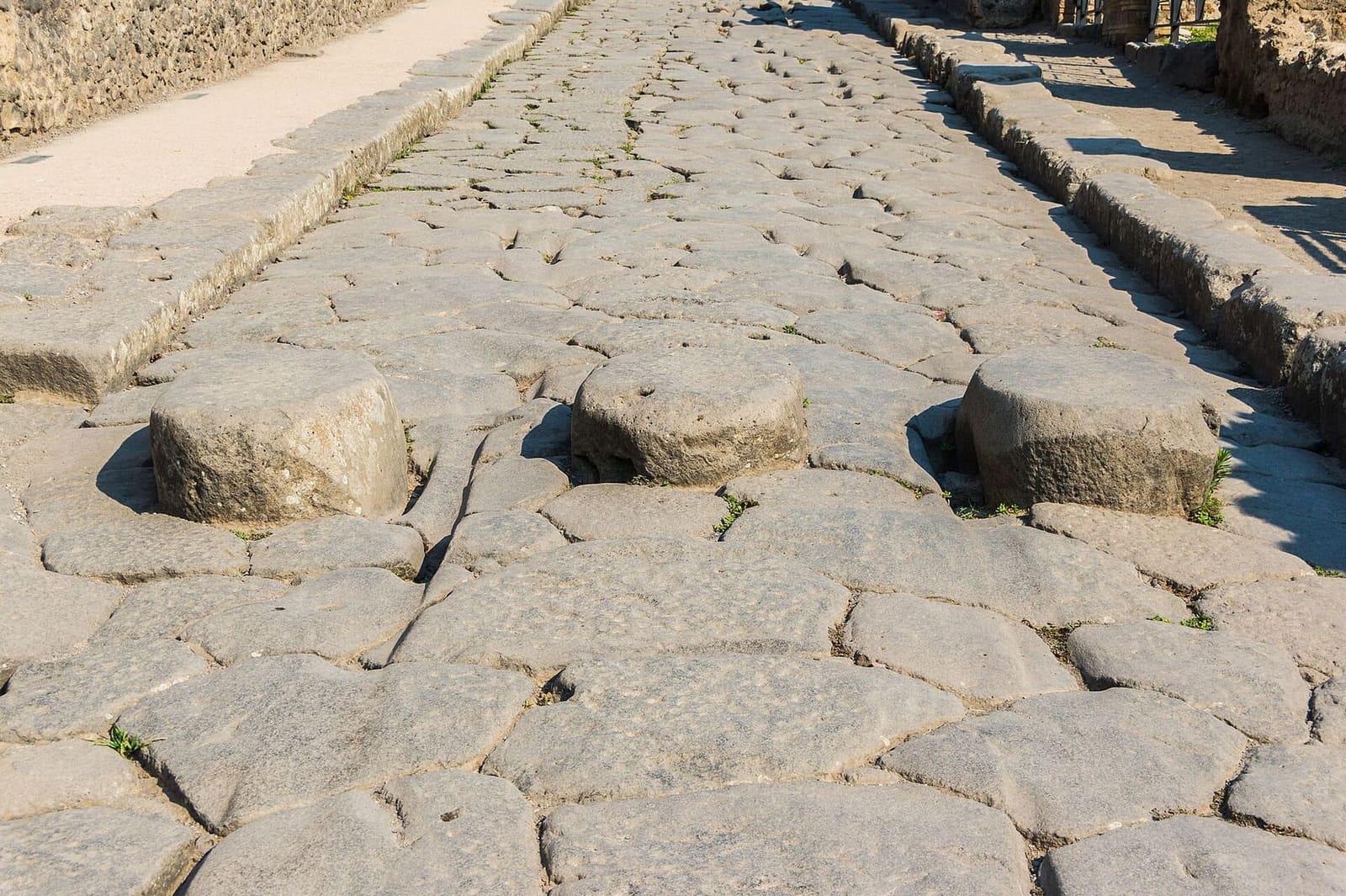 the stepping stones for crossing the street, between the cart ruts