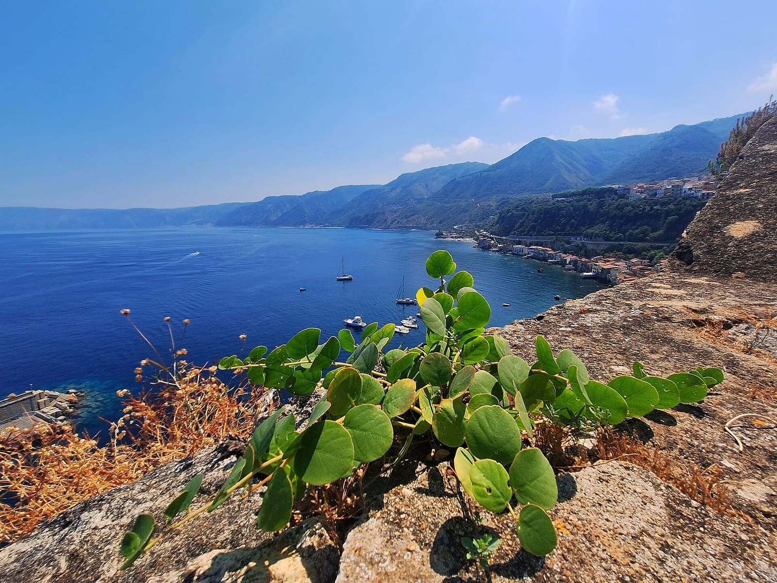 the Costa Viola towards Bagnara seen from the castle, with Chianalea below