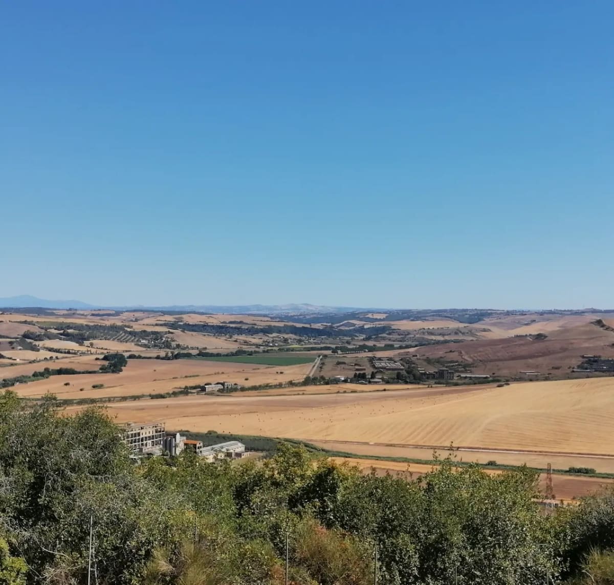 la Maremma vista dalla collina dei Monterozzi, i campi di grano già tagliati e i monti in fondo: è il panorama che gli Etruschi si scelsero per la loro città dei morti