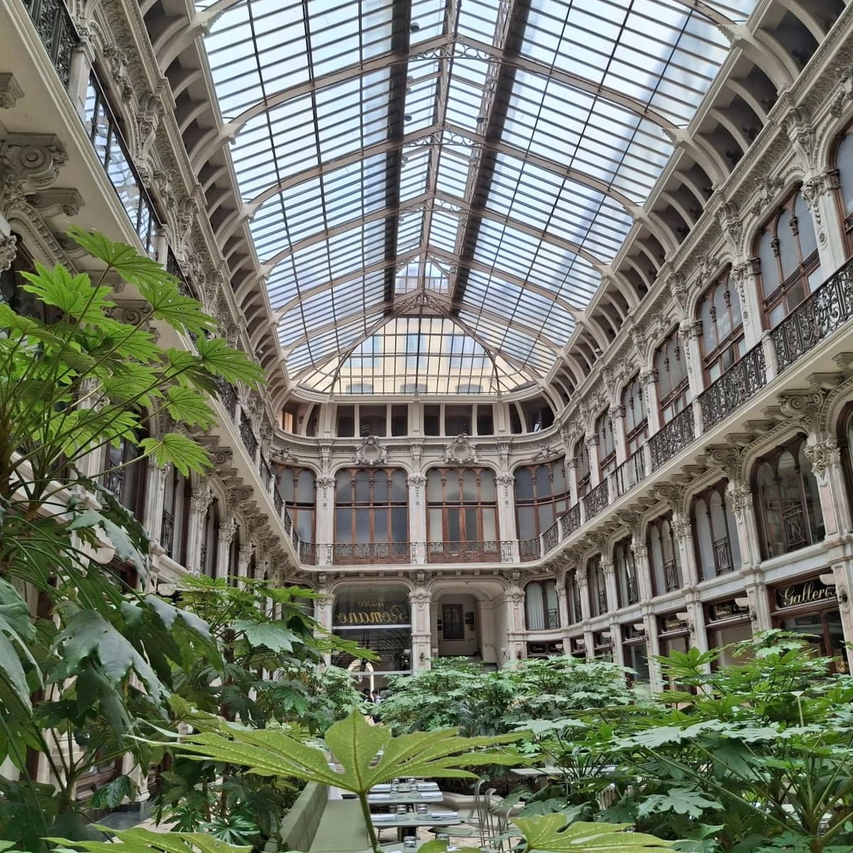 la Galleria Subalpina, con le piante al centro e le balaustre del piano di sopra