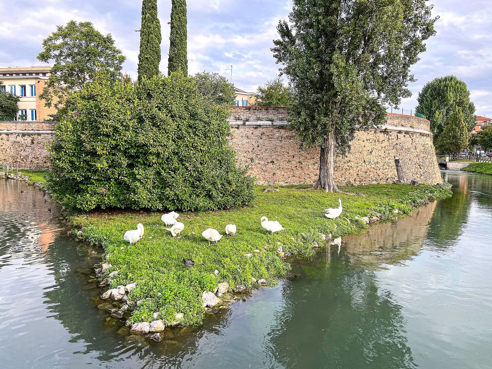 il bastione di Santa Sofia sulle mura veneziane, con i cigni sull'isolotto del fossato