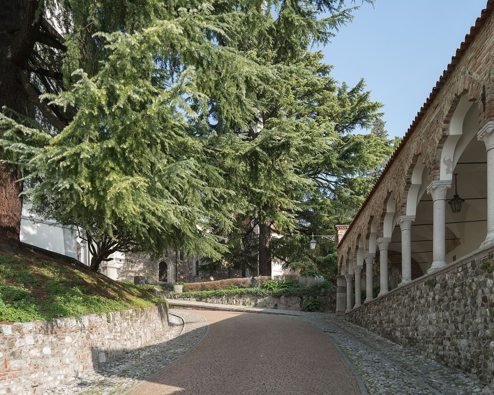 la salita al castello lungo il porticato del Lippomano, all'ombra dei cedri