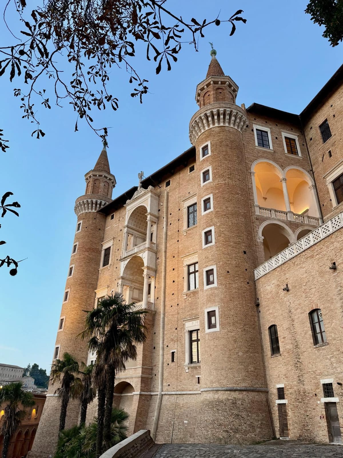 i due torricini visti dal basso all'imbrunire, con la loggia illuminata in mezzo e le palme davanti al muro di mattoni
