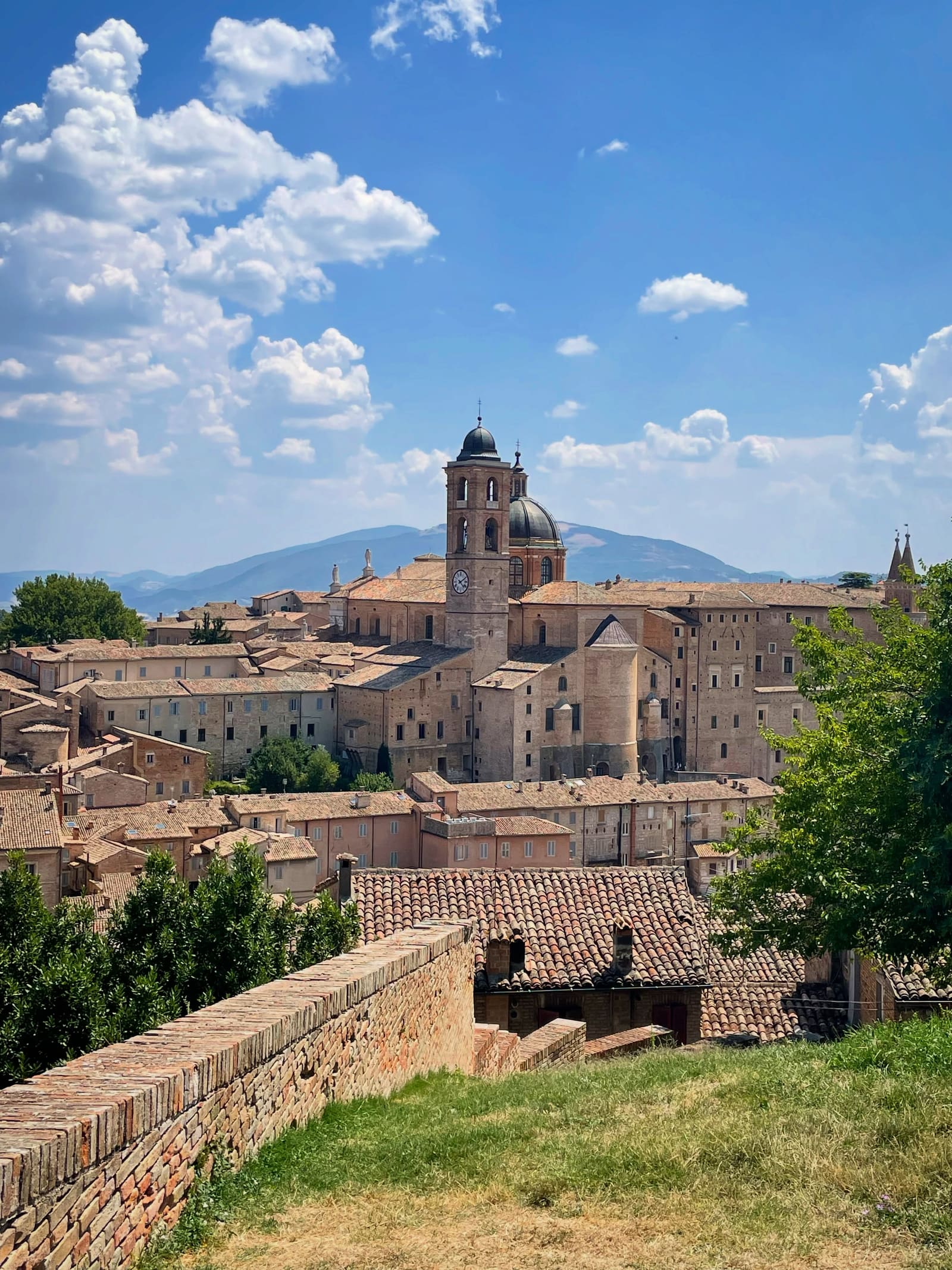 la città vista da fuori le mura, con il campanile e la cupola del duomo in mezzo ai tetti e le colline dietro