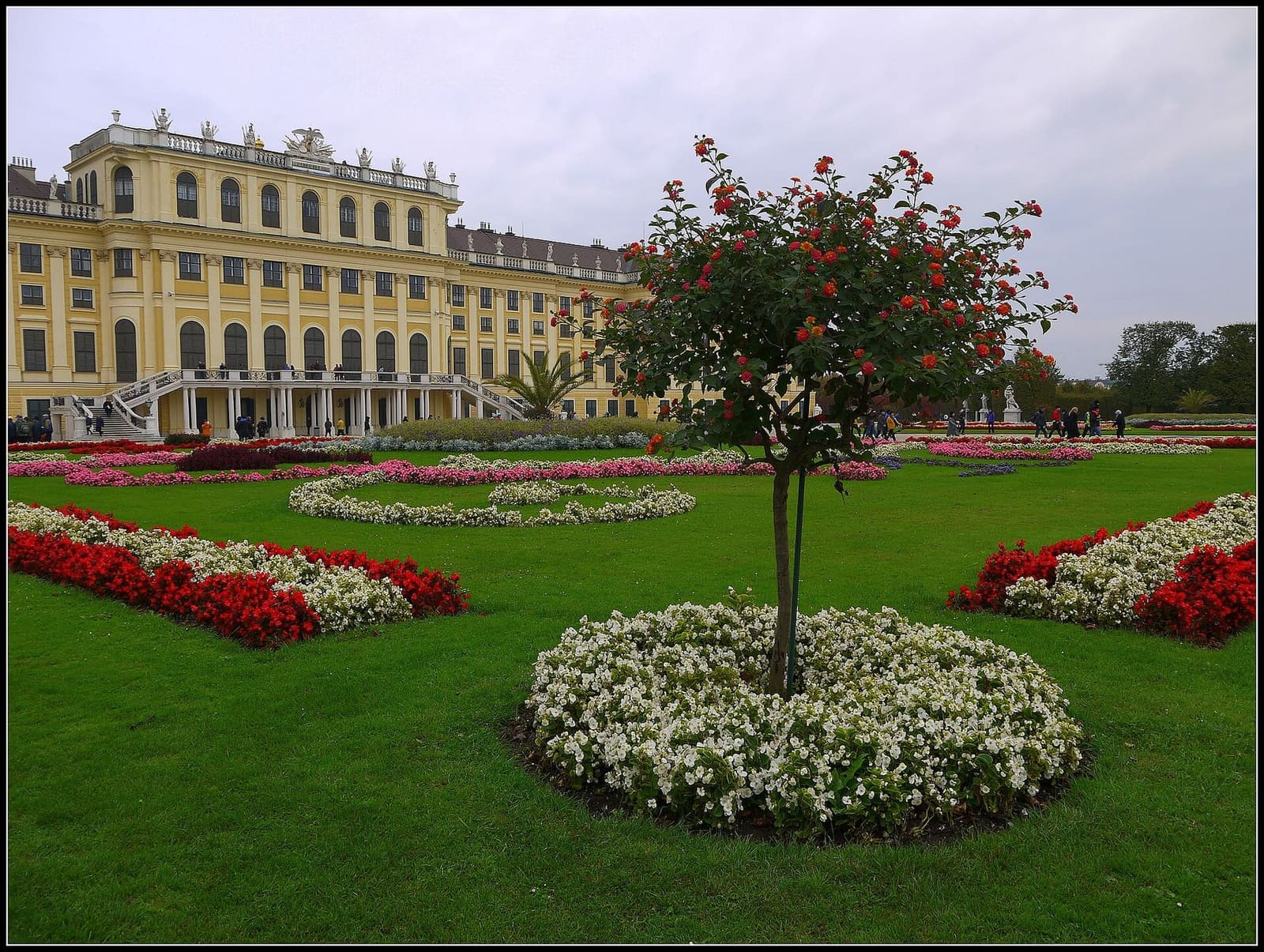 le aiuole fiorite davanti al castello di Schönbrunn