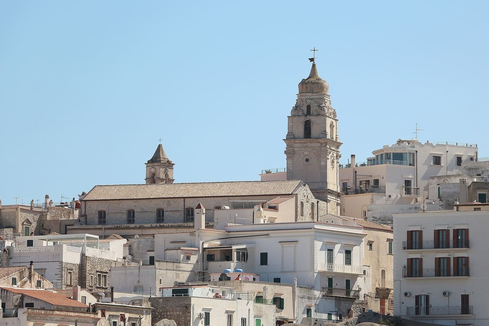 die Kathedrale und ihr Glockenturm über den Häusern der Altstadt
