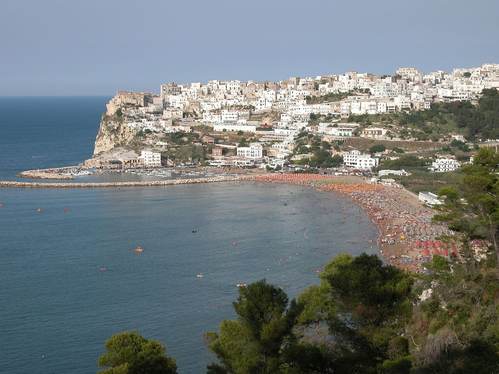 Peschici und der Strand der Bucht im Sommer, von oben
