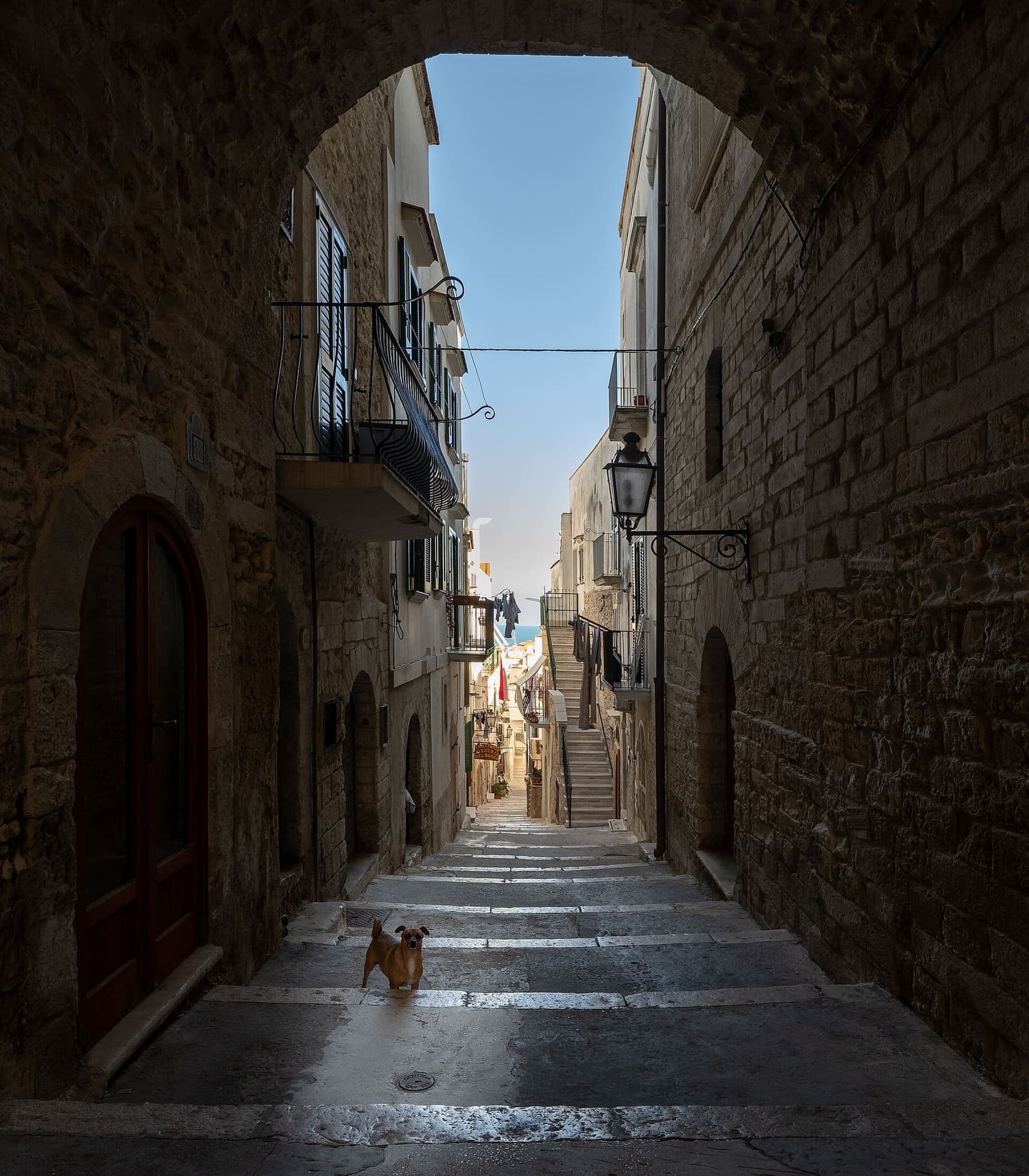 ein Bogen in der via Alessandro III, in der Altstadt, mit einem Hund auf den Stufen