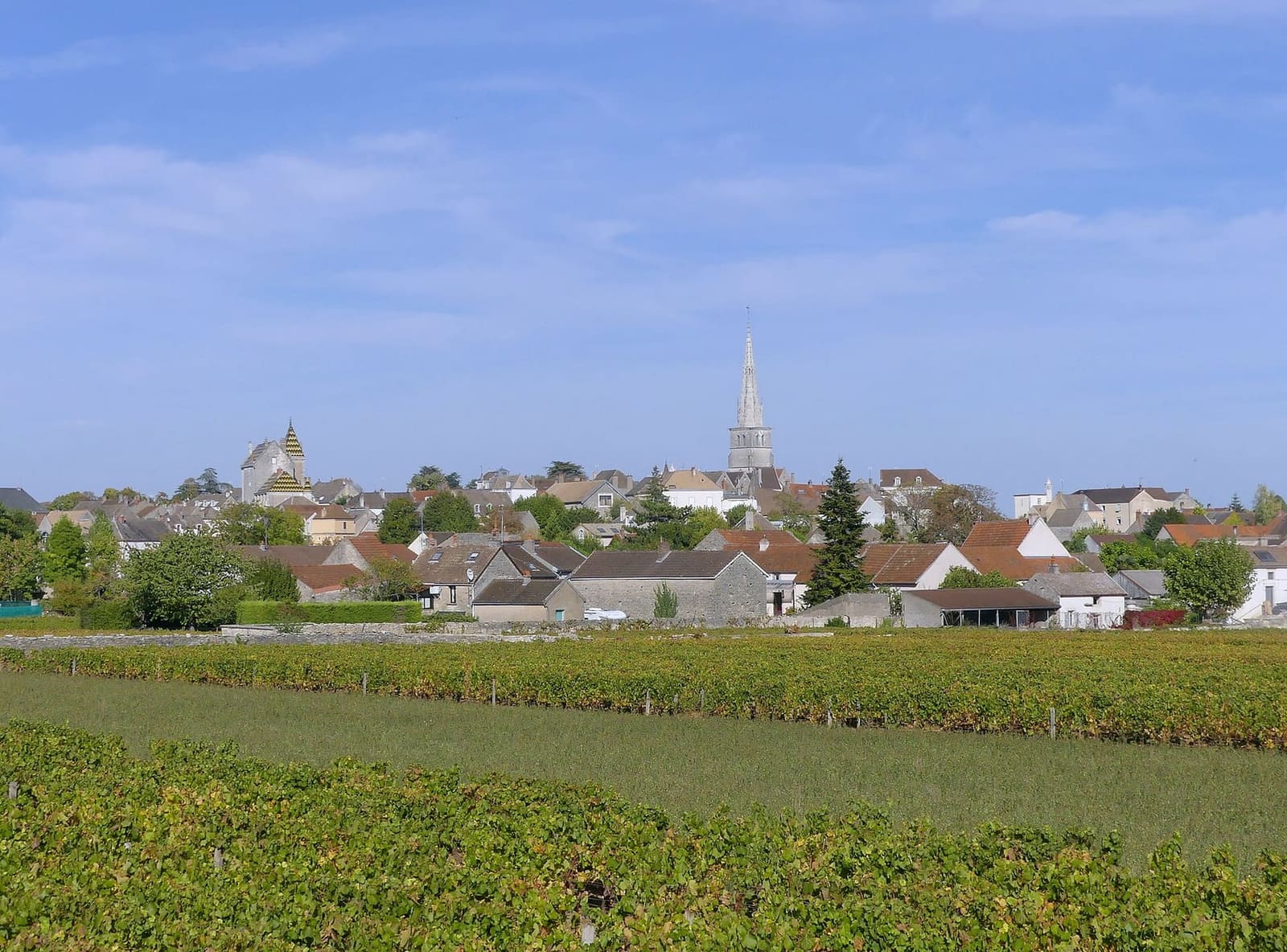 Meursault e il suo campanile, in mezzo alle vigne d'autunno