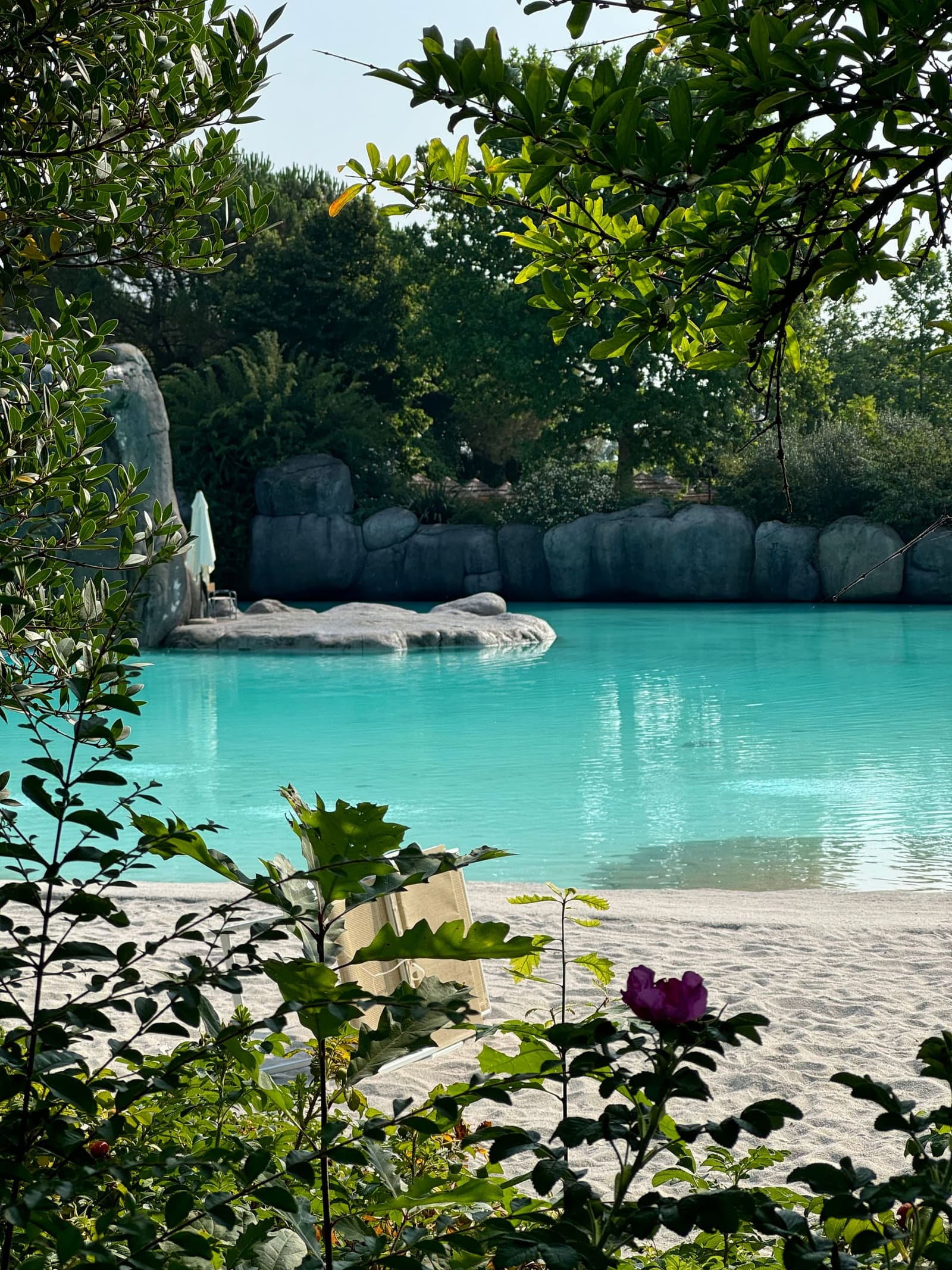 la piscina di Bolder Beach vista dal sentiero fra le foglie, con la sabbia bianca, le rocce africane e l'acqua turchese